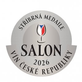 salon-26-stribrna-IV